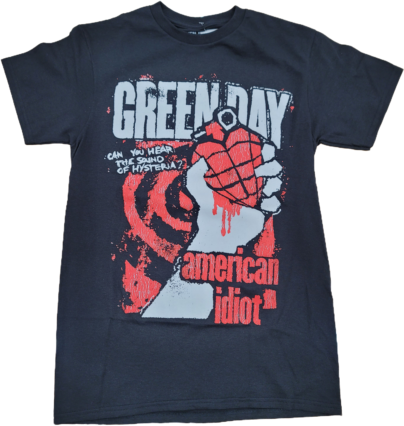 Vintage Green Day 2005 American outlets Idiot Tour Concert T-shirt