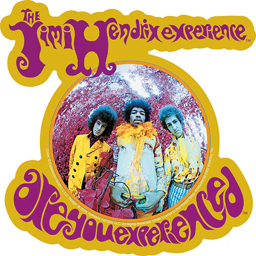 Jimi Hendrix Experienced Bubble