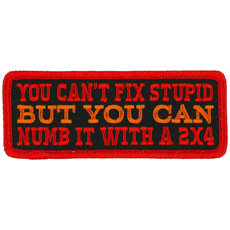 You Can't Fix Stupid 4 x 2