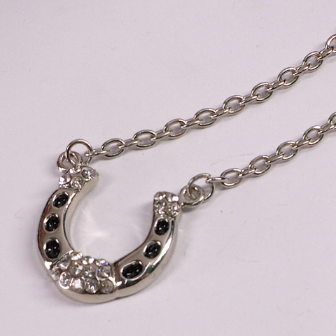 Lucky Horseshoe Necklace by High and Dry – Pop Cycle Tucson